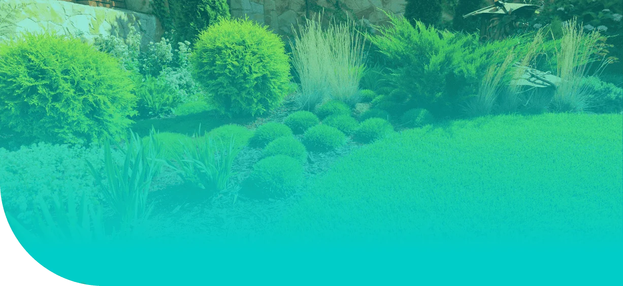 Quan plantar un jardí a Barcelona: calendari pràctic