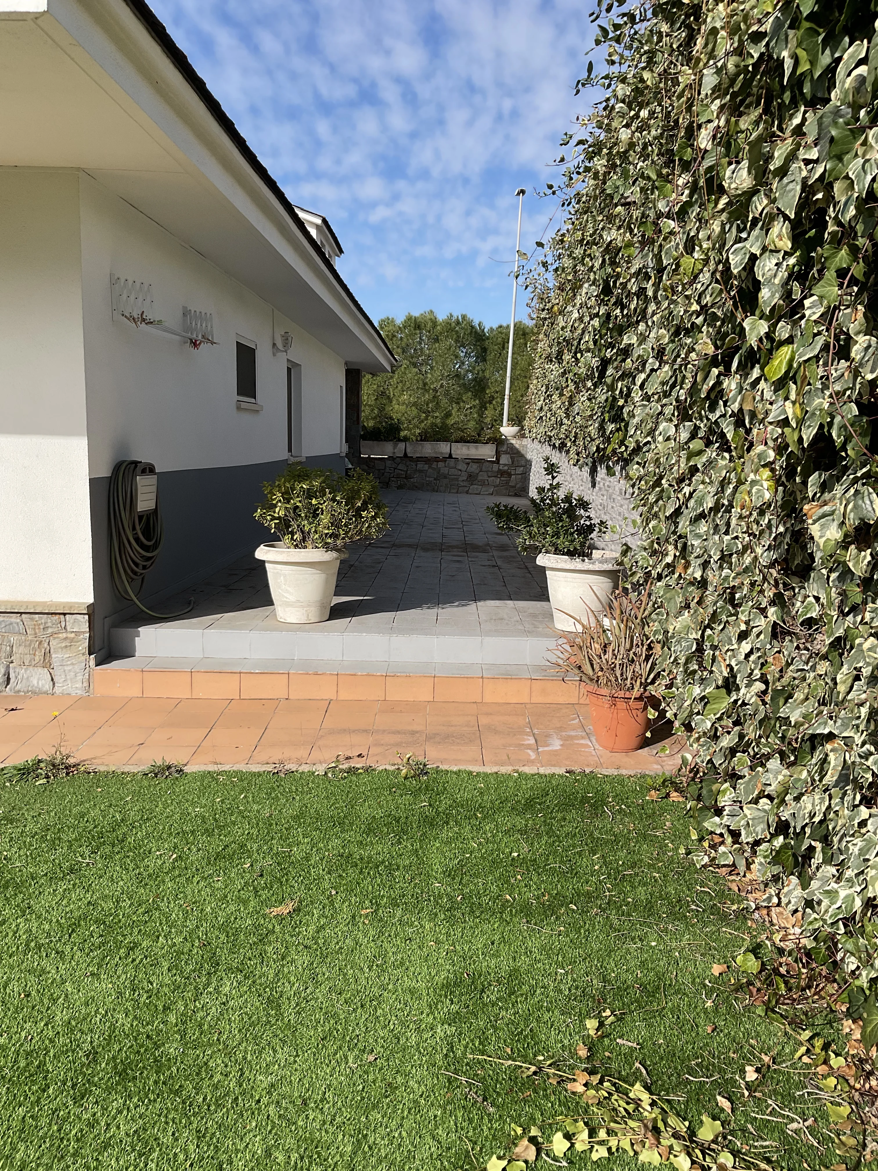 D’un jardí amb molt manteniment a un jardí minimalista