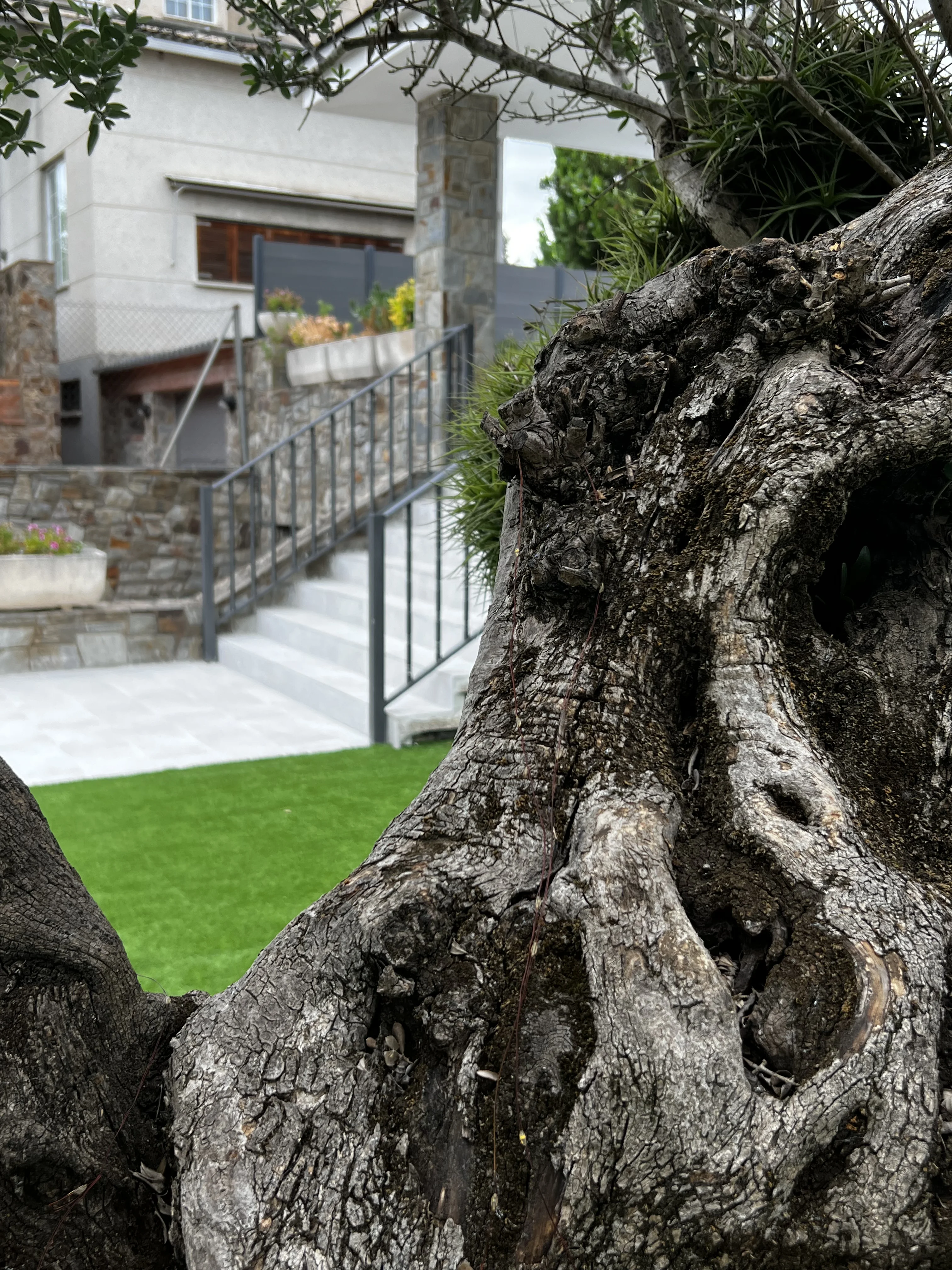 D’un jardí amb molt manteniment a un jardí minimalista