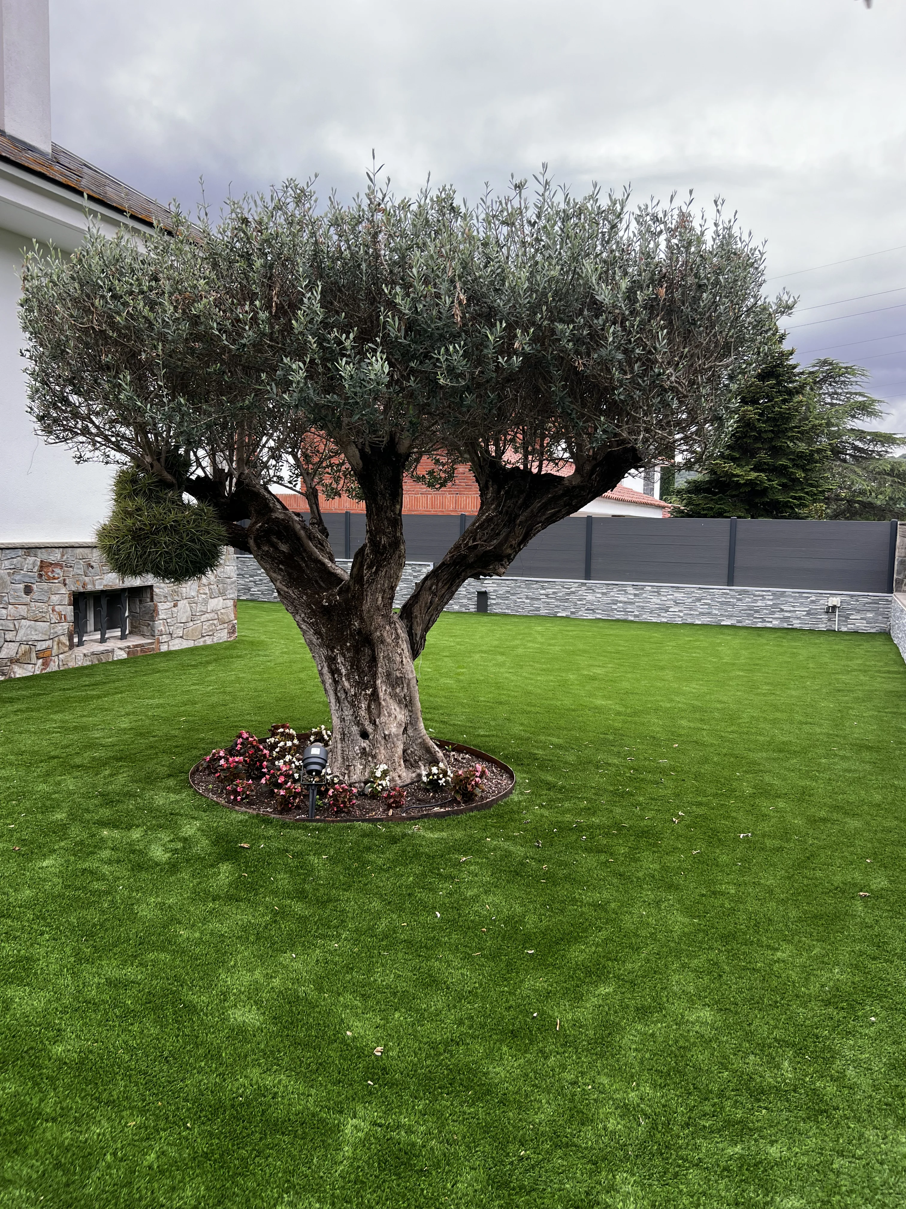 D’un jardí amb molt manteniment a un jardí minimalista