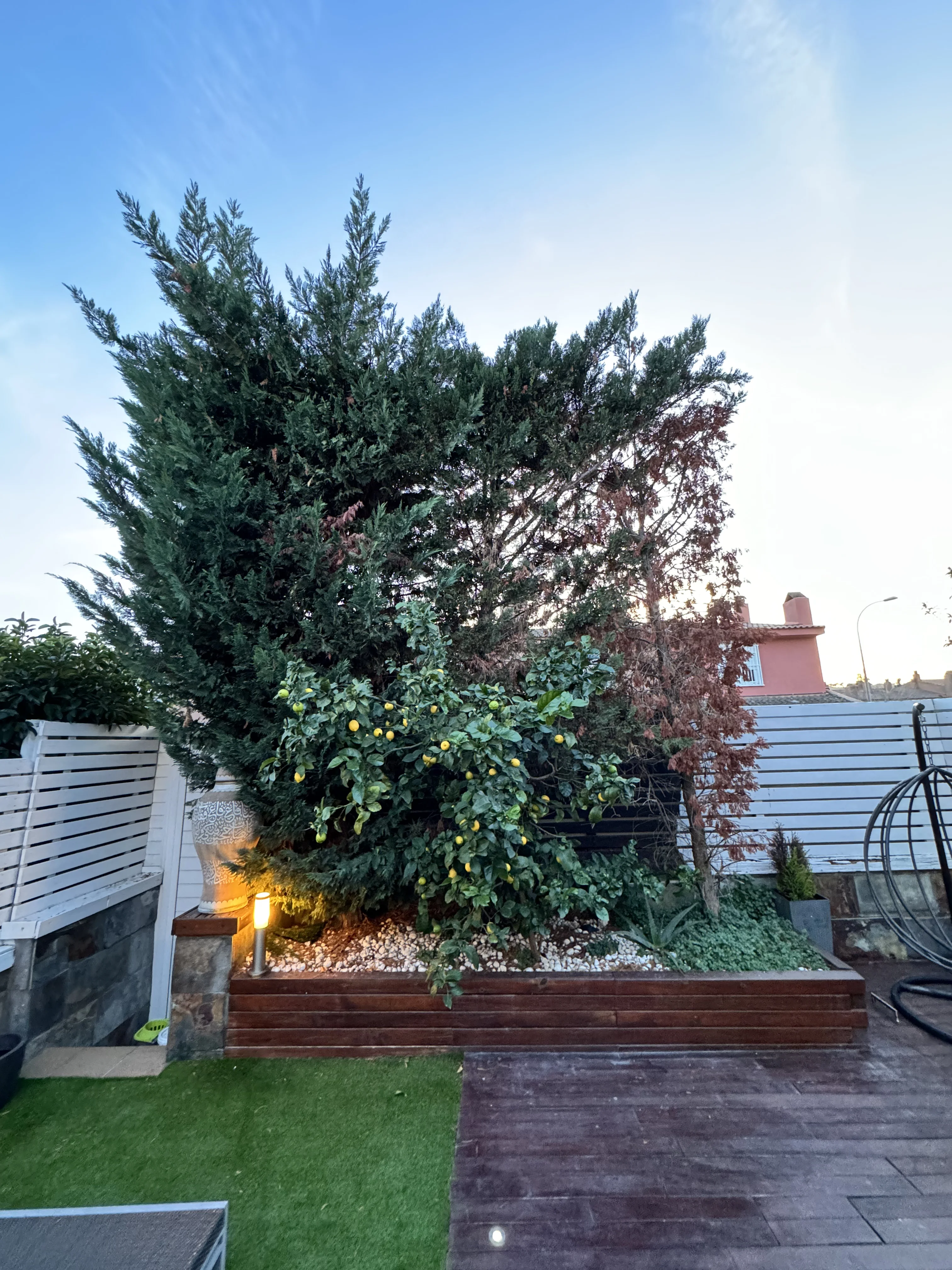 D’un jardí tradicional a un petit paradís exterior