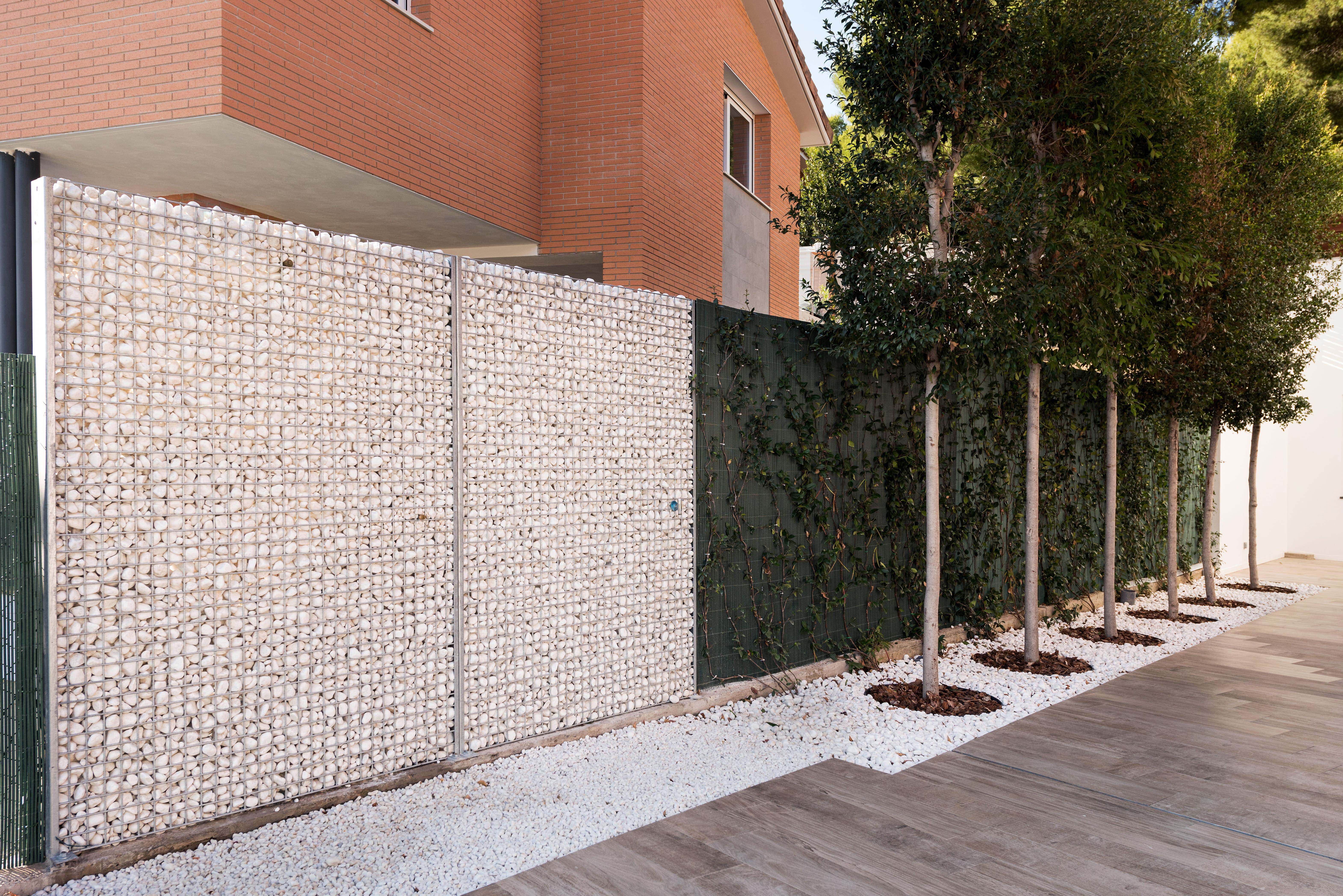 Minimalist garden with privacy screening