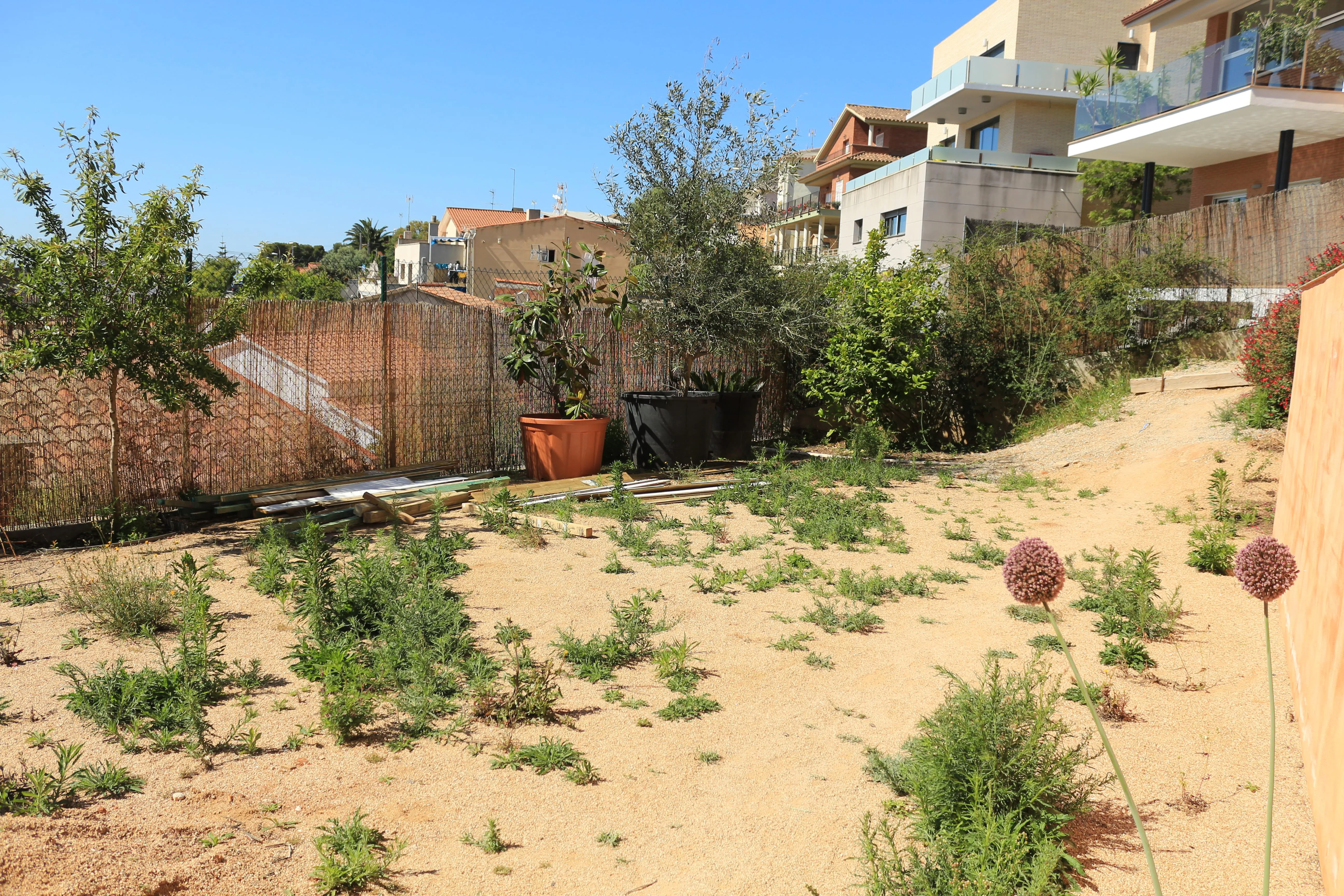 Jardí a l'estil minimalista i intimitat amb pantalles vegetals