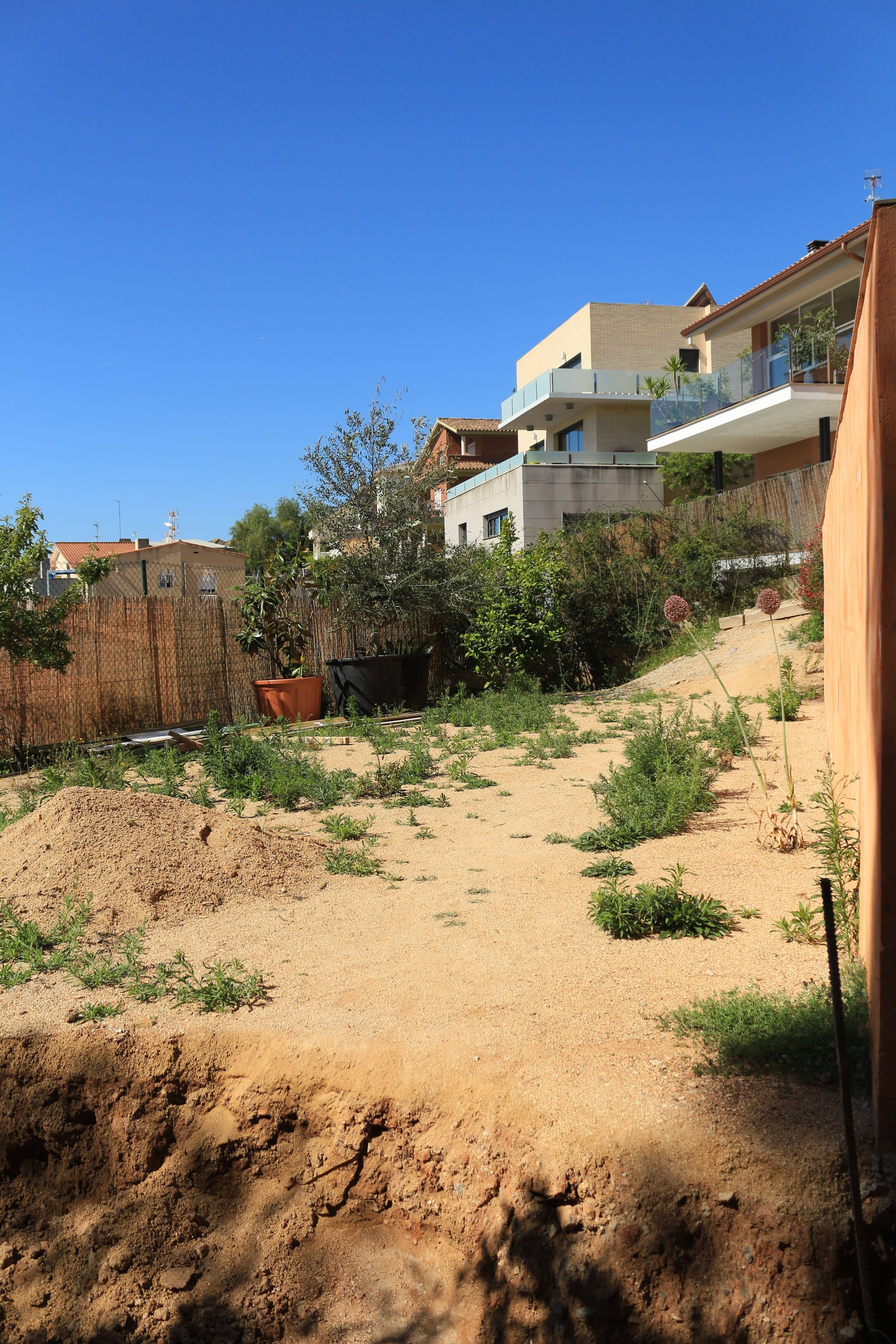 Minimalist garden with privacy screening