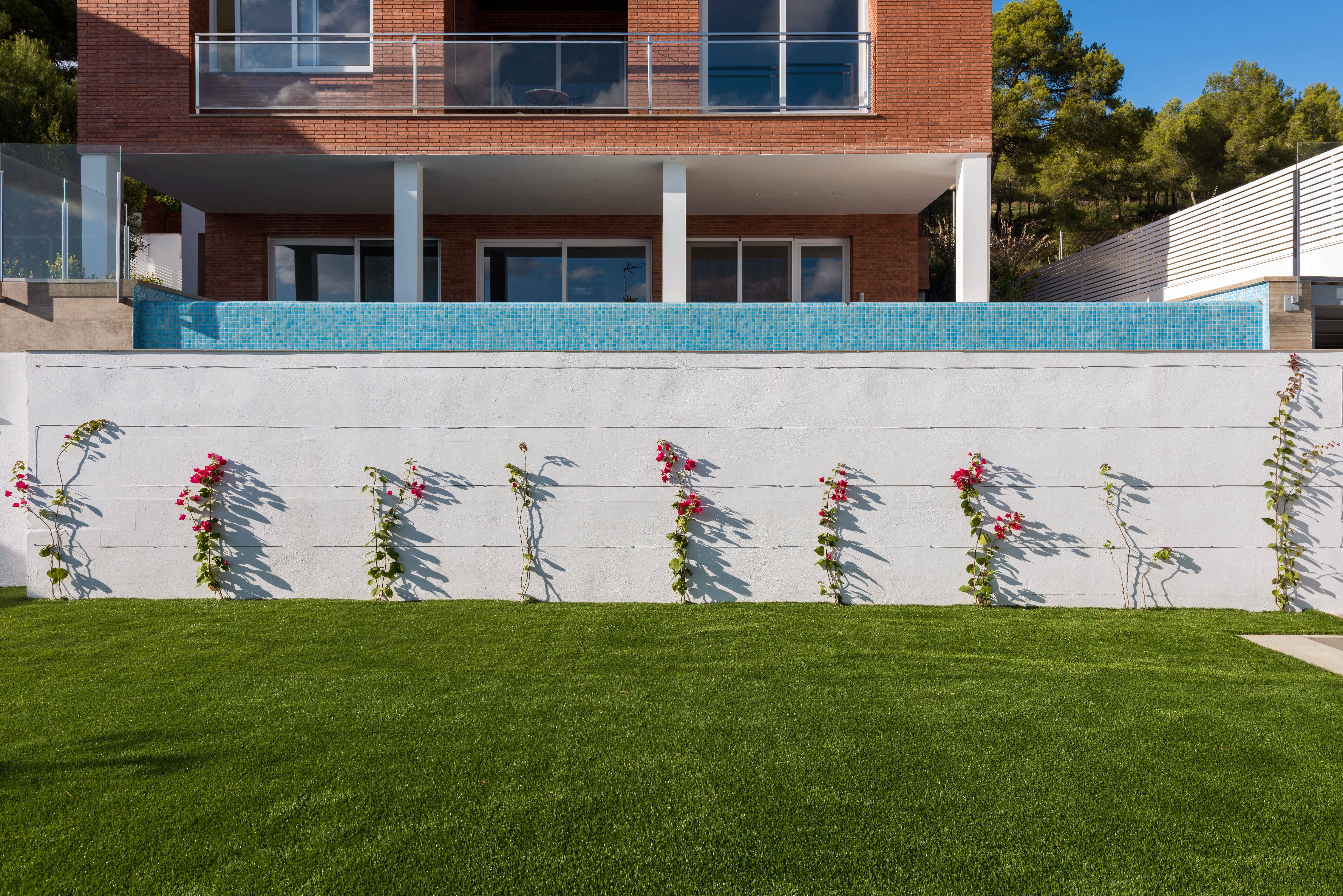 Minimalist garden with privacy screening