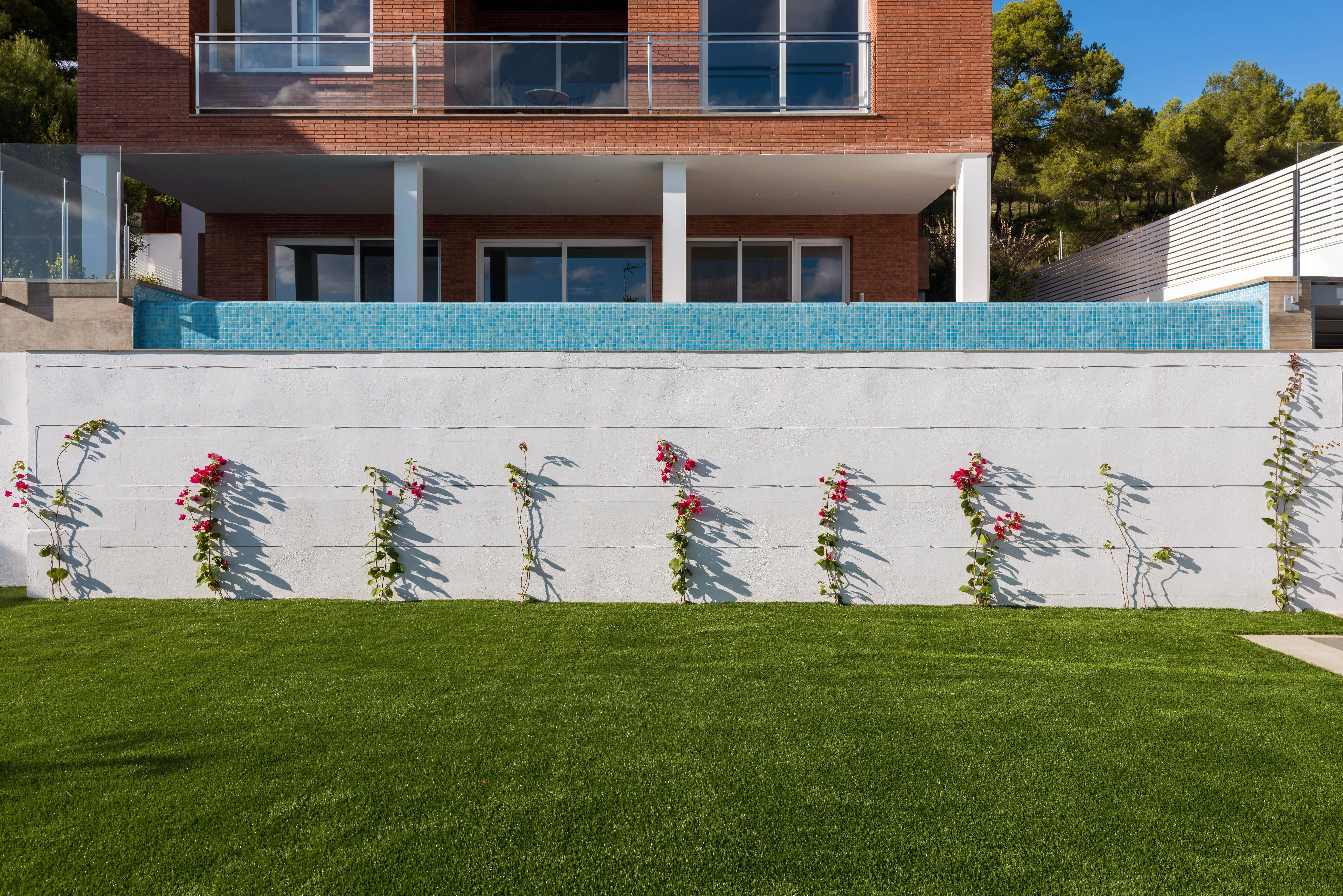 Jardí a l'estil minimalista i intimitat amb pantalles vegetals