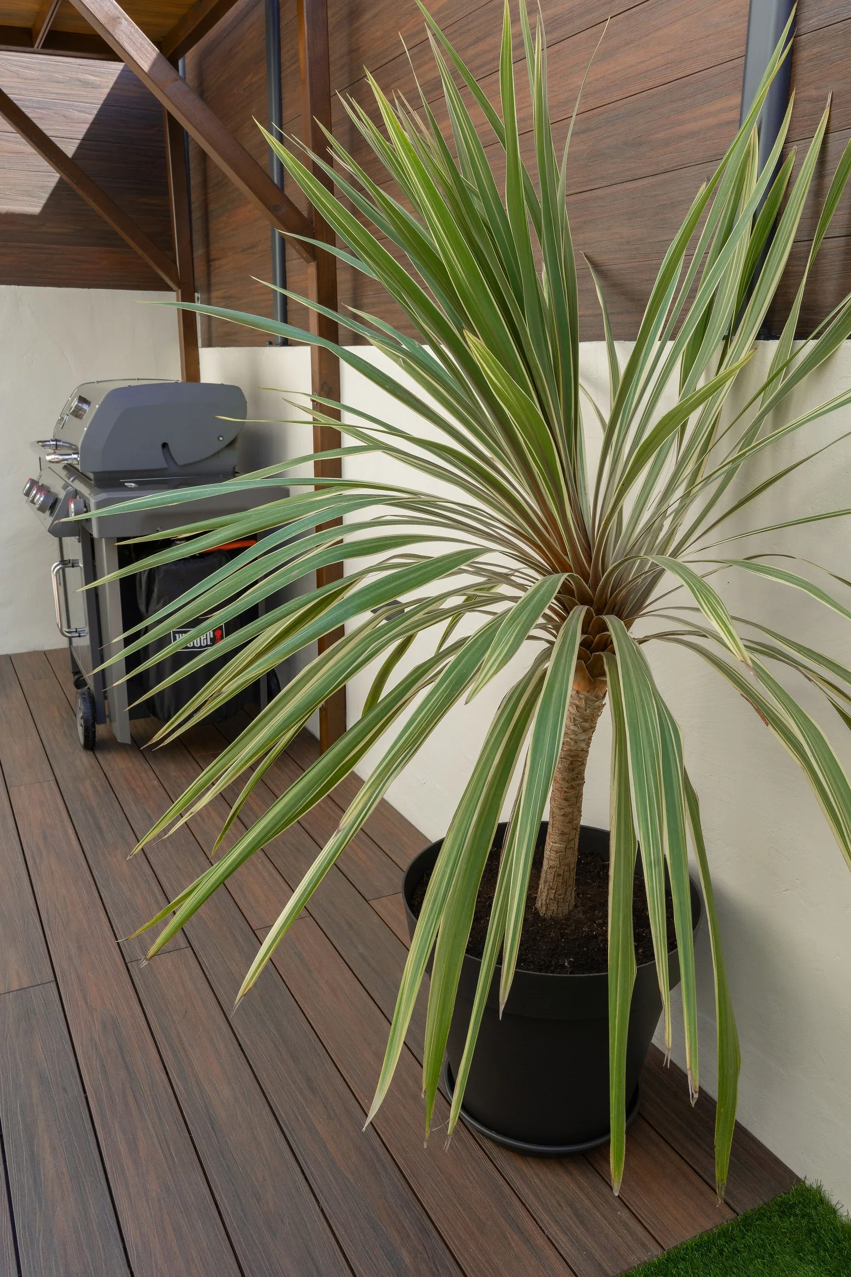 Terrace renovation