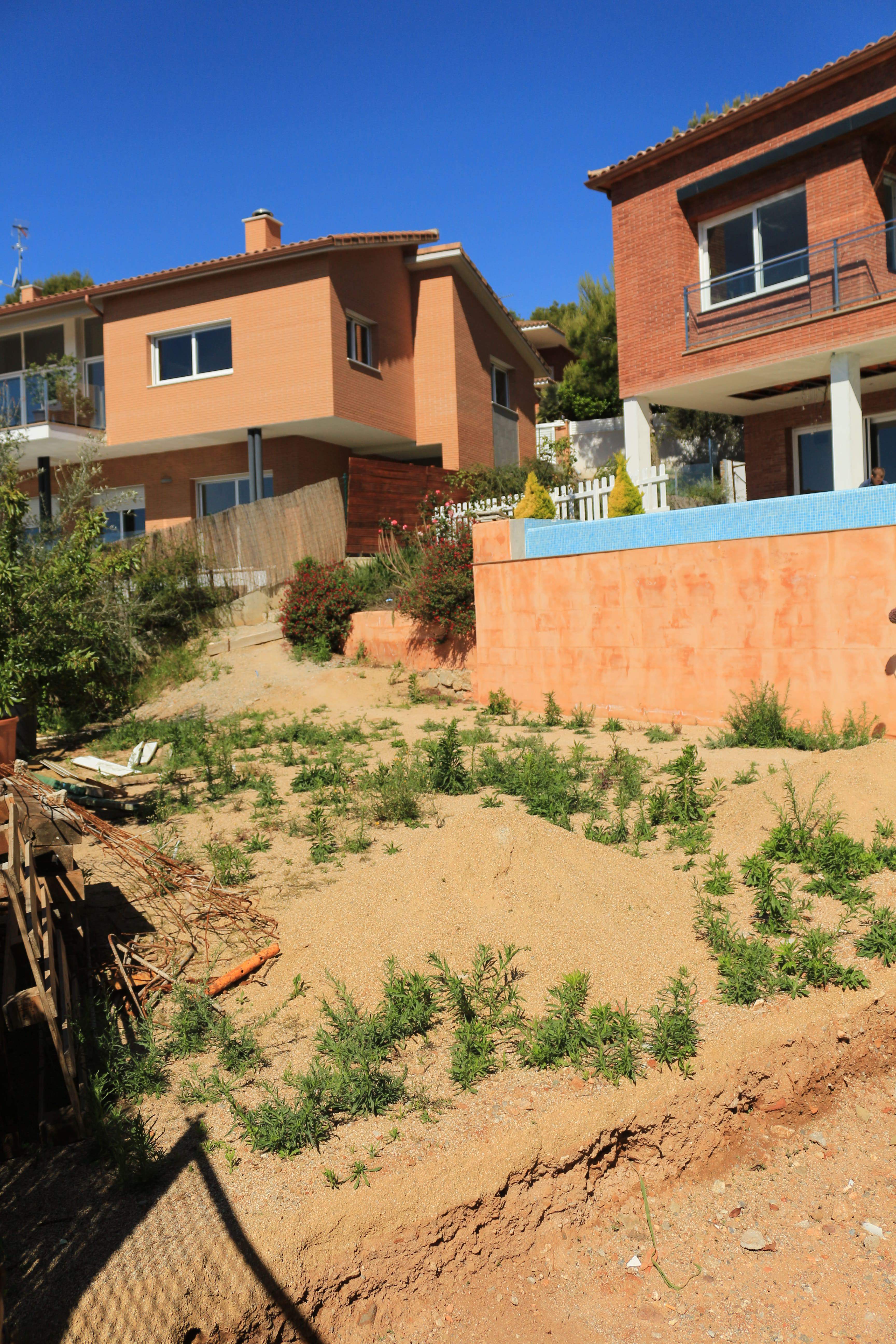 Minimalist garden with privacy screening