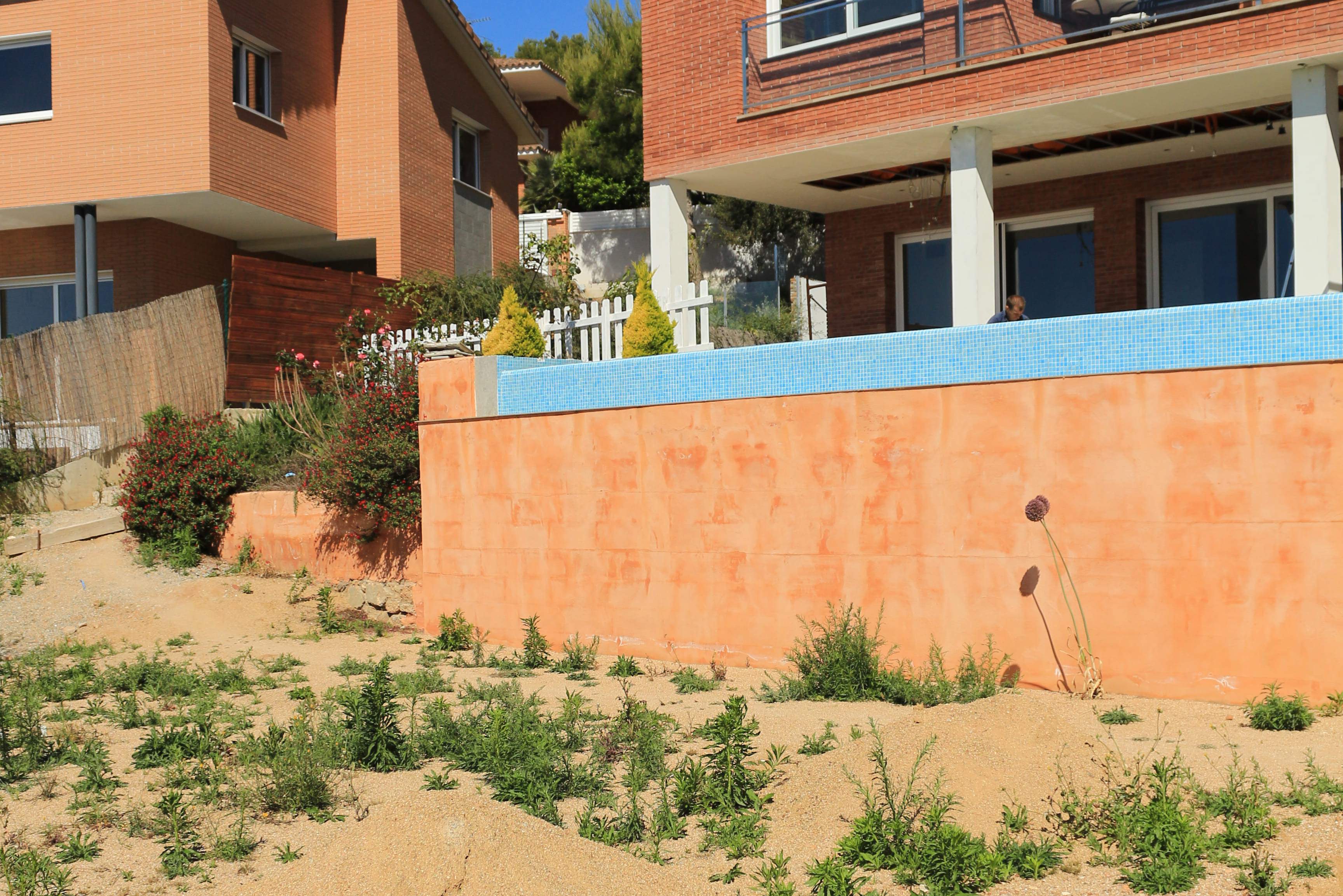 Minimalist garden with privacy screening