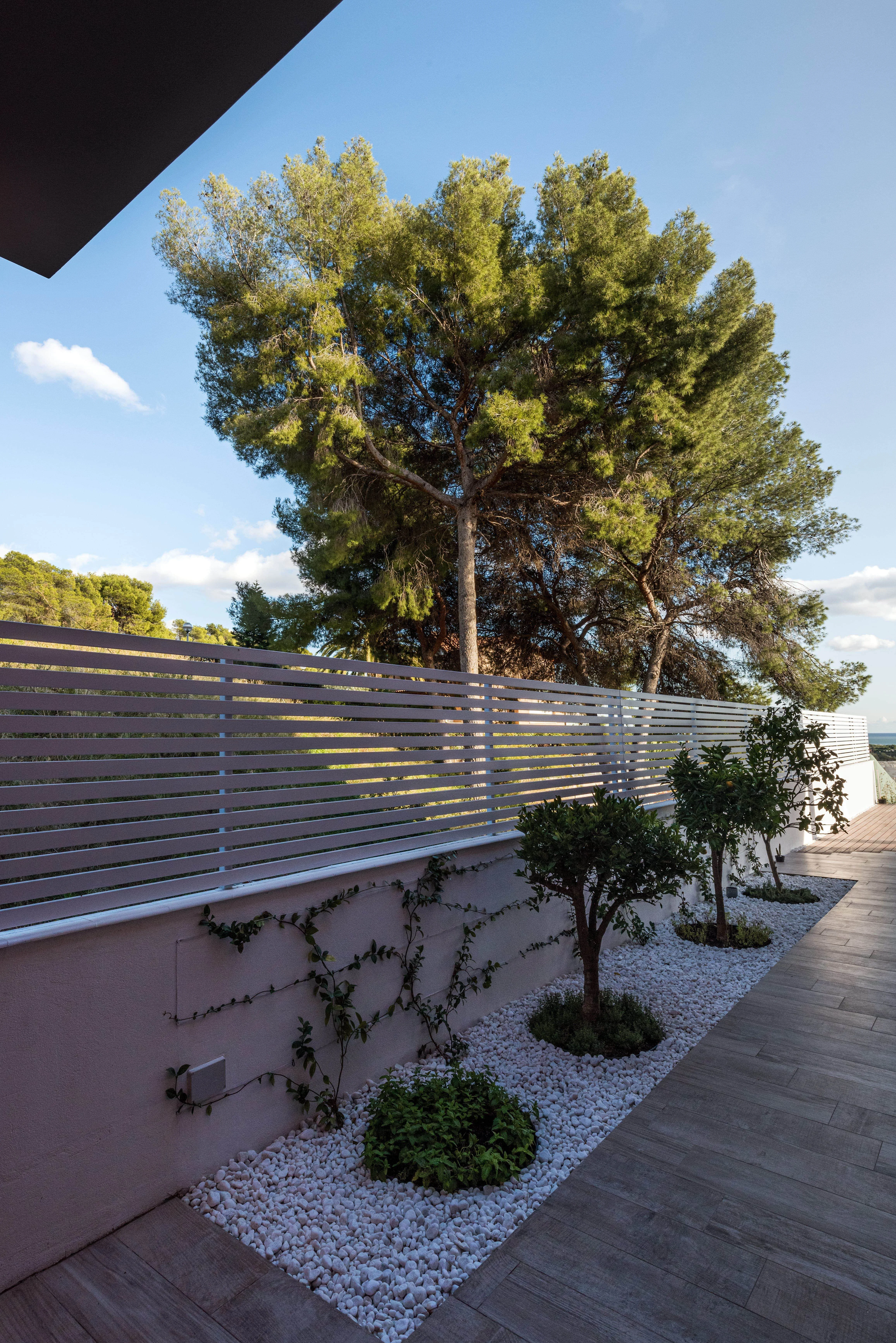 Jardí a l'estil minimalista i intimitat amb pantalles vegetals