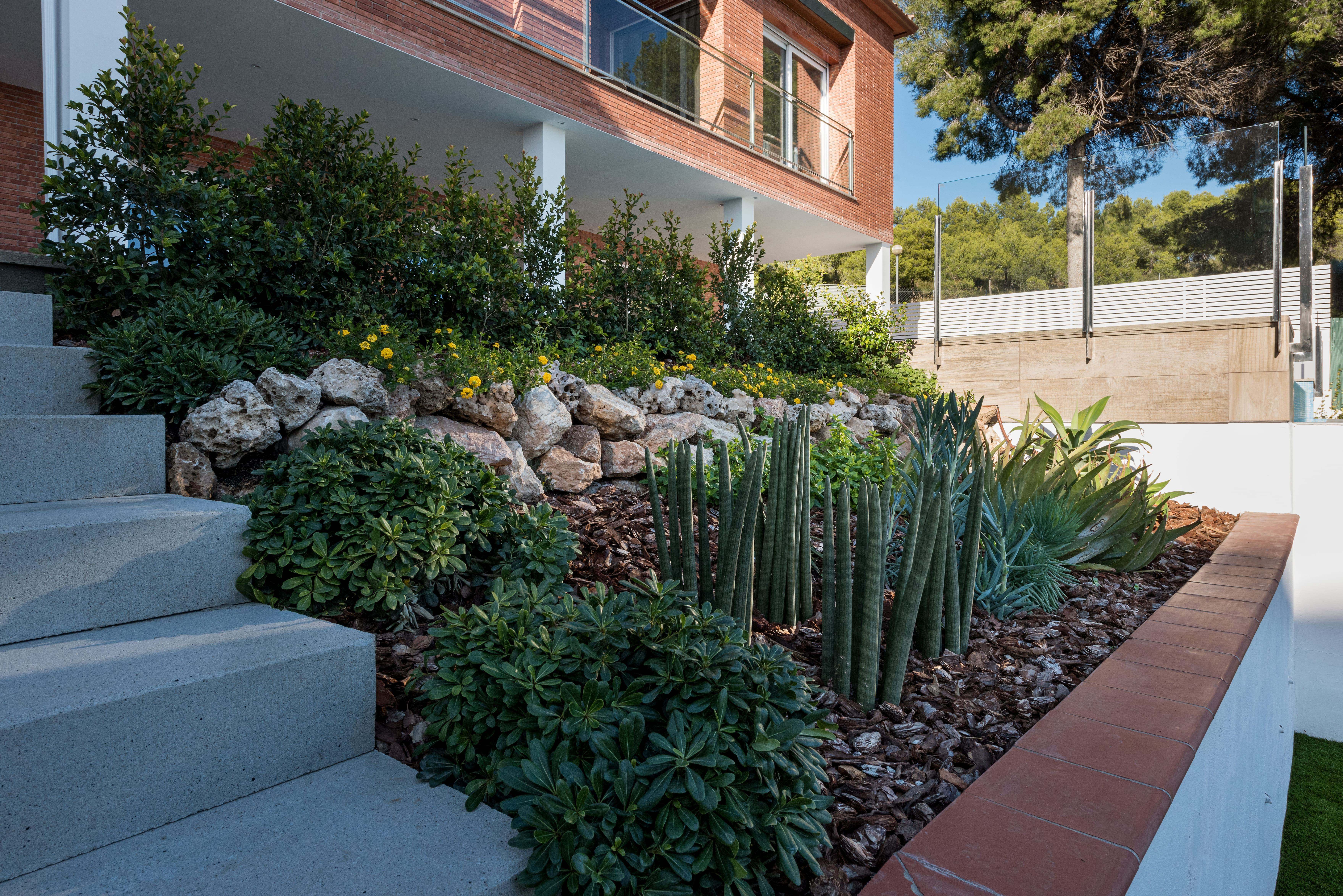 Minimalist garden with privacy screening
