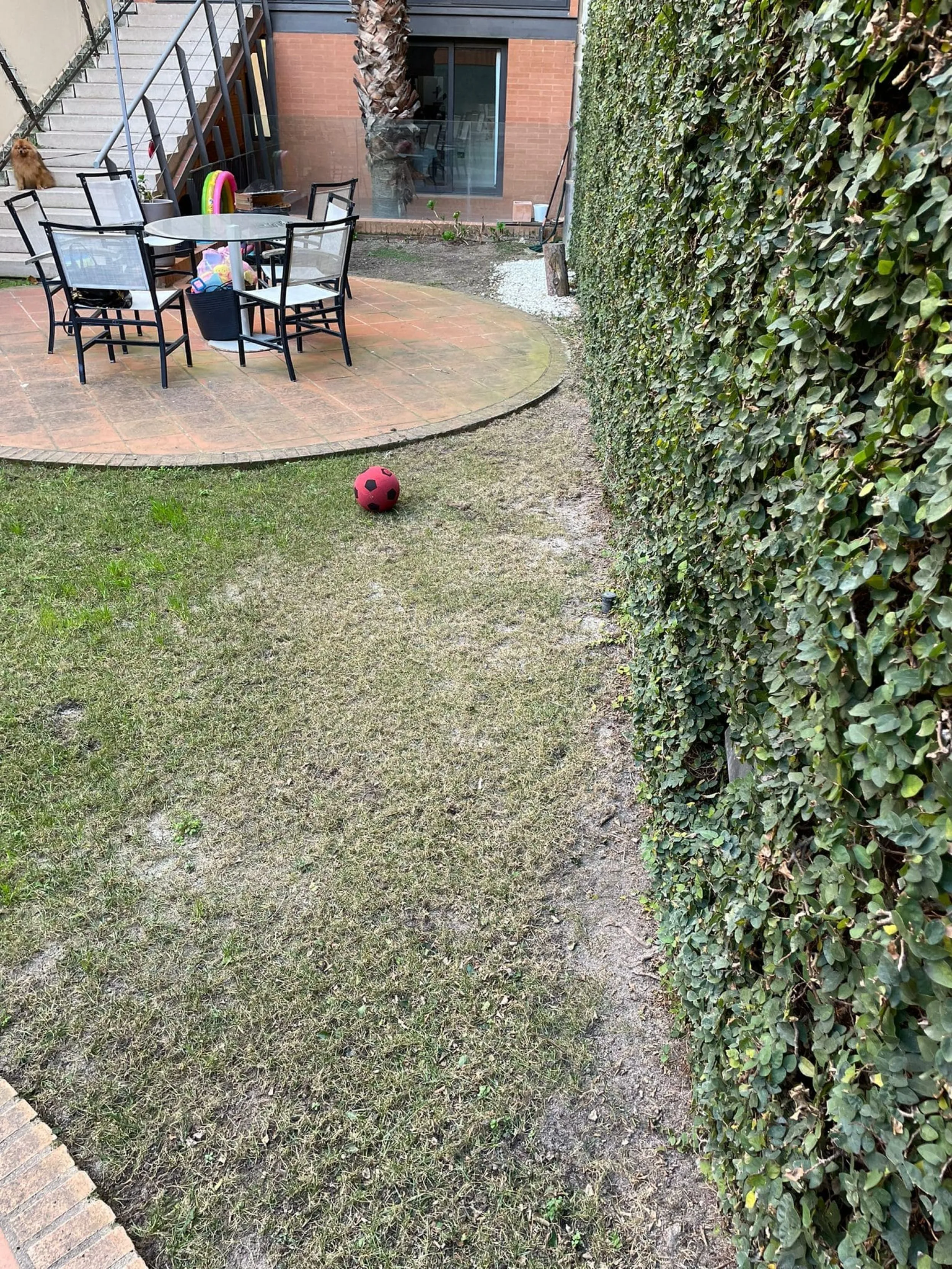 Reforma d'un jardí en plena ciutat