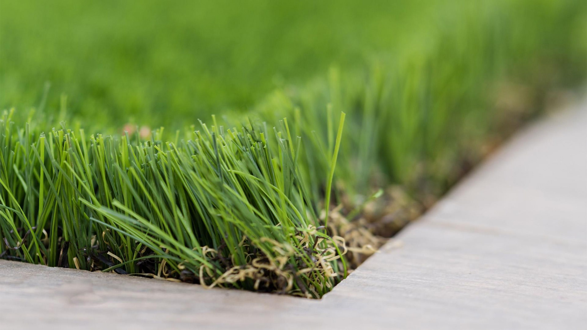 Low-maintenance garden renovation