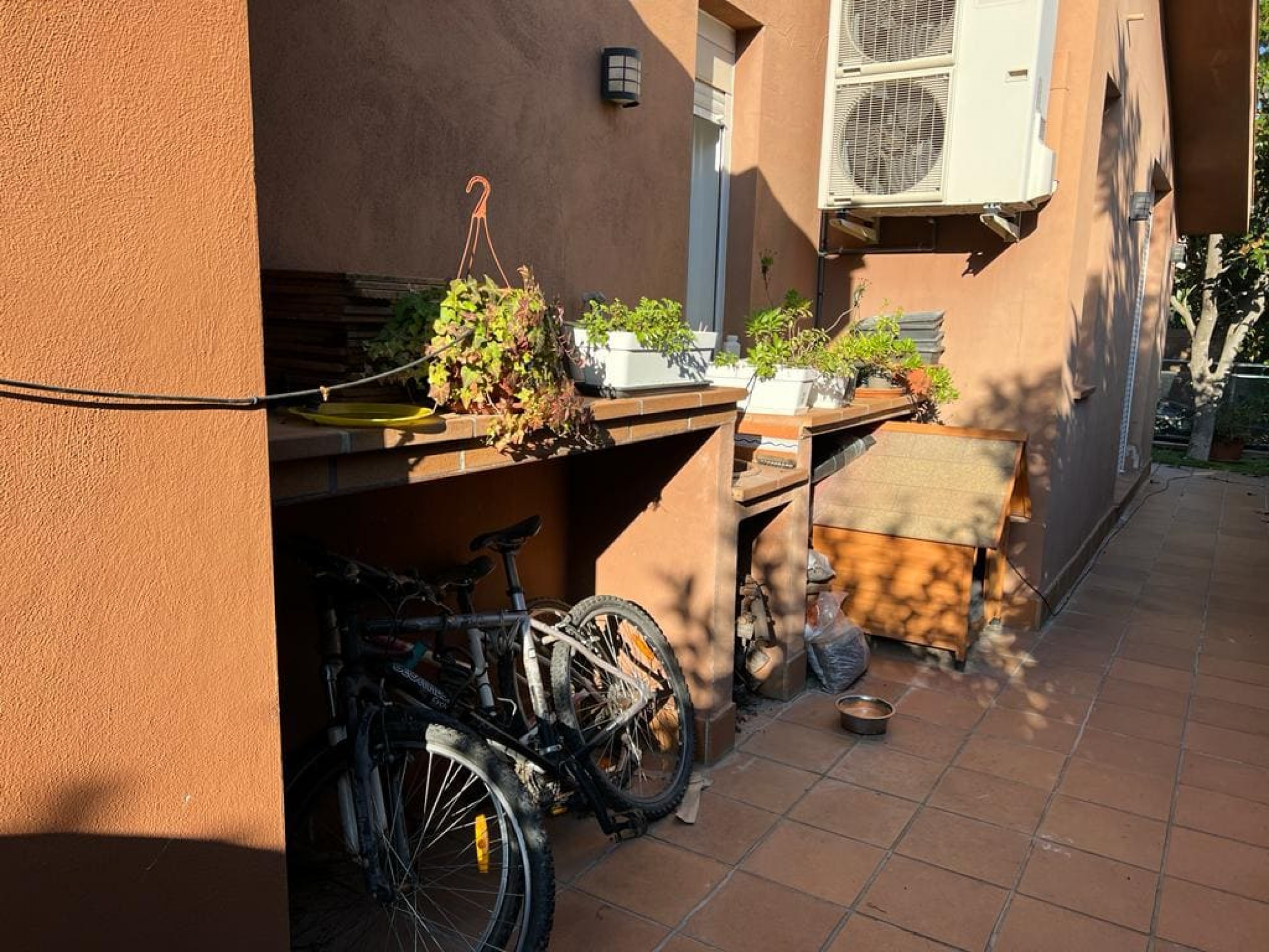 Garden with vegetation and relaxation areas