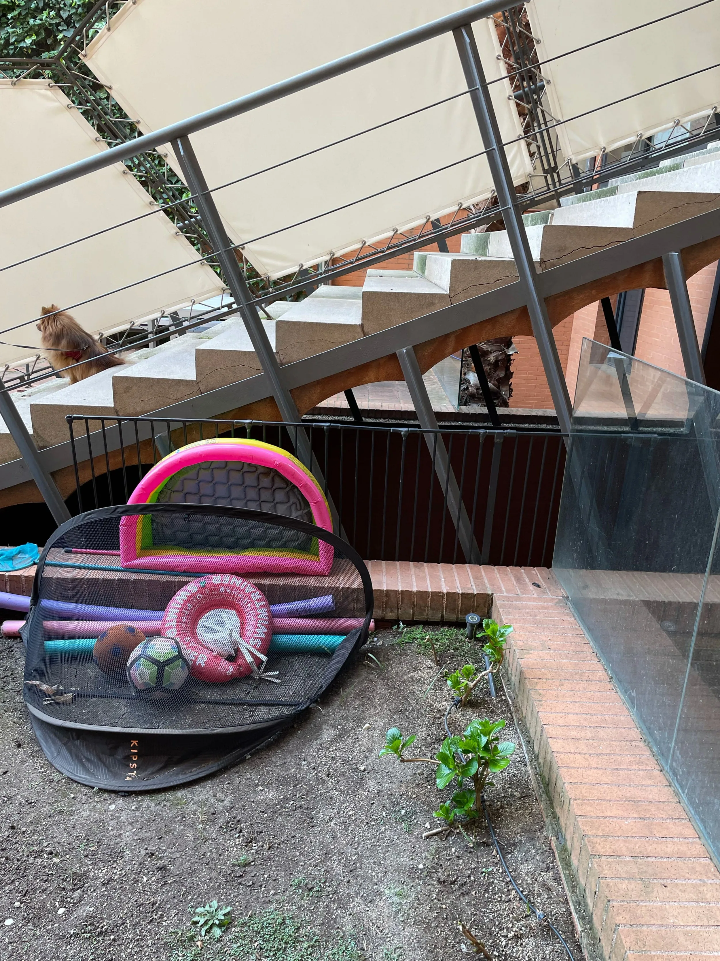 Reforma d'un jardí en plena ciutat