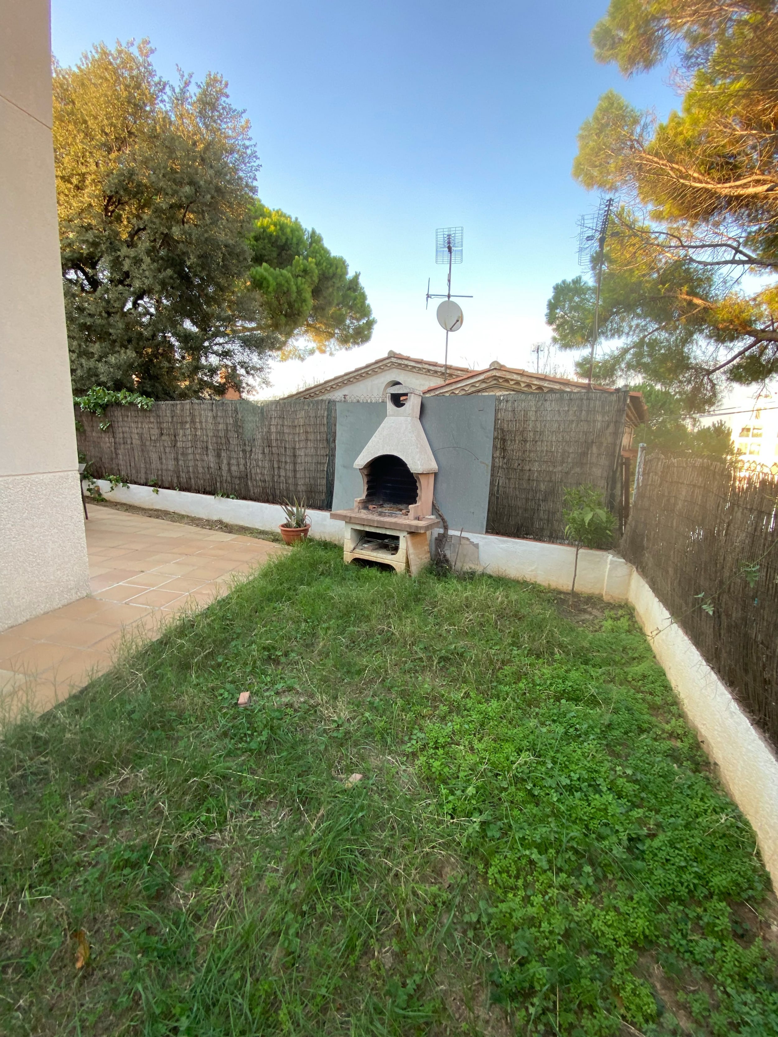 Low-maintenance garden renovation