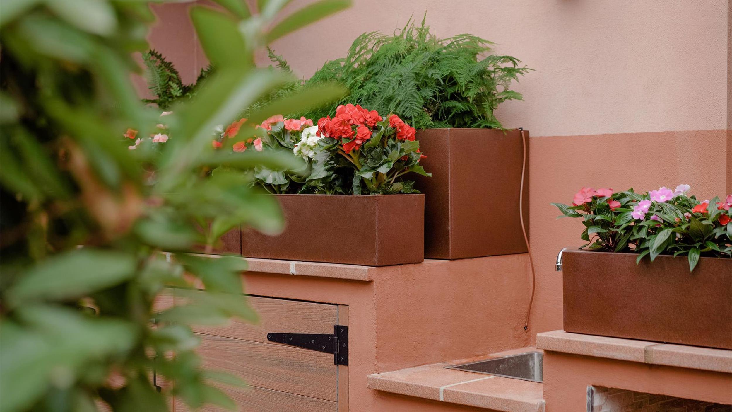 Garden with vegetation and relaxation areas