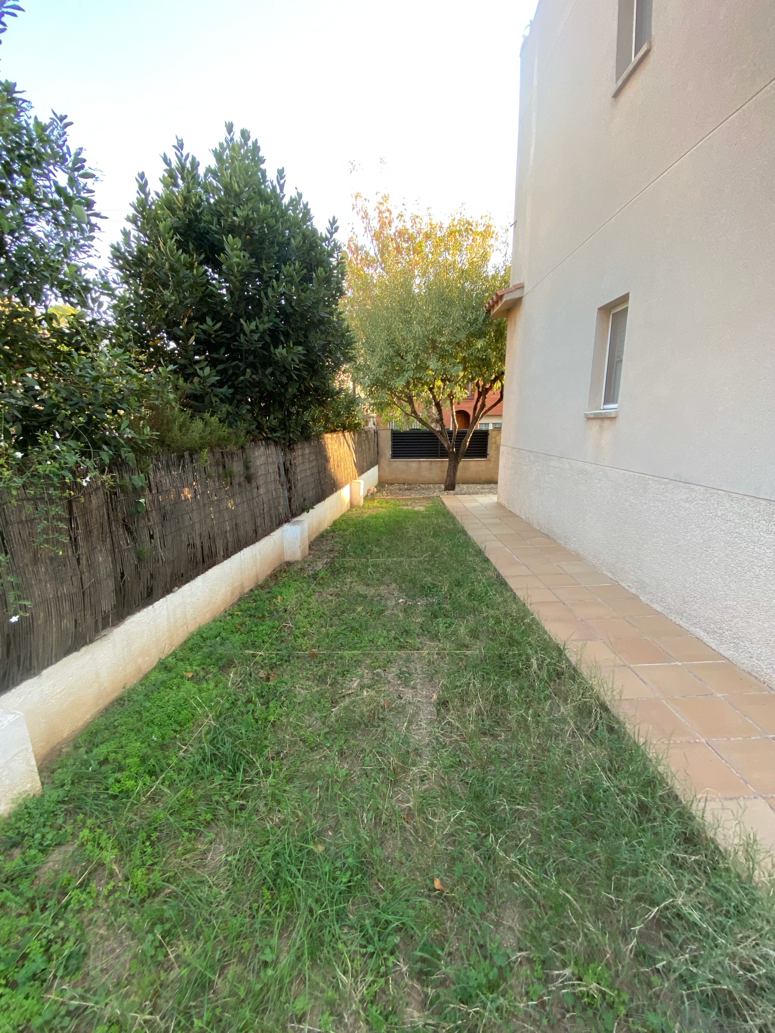 Low-maintenance garden renovation