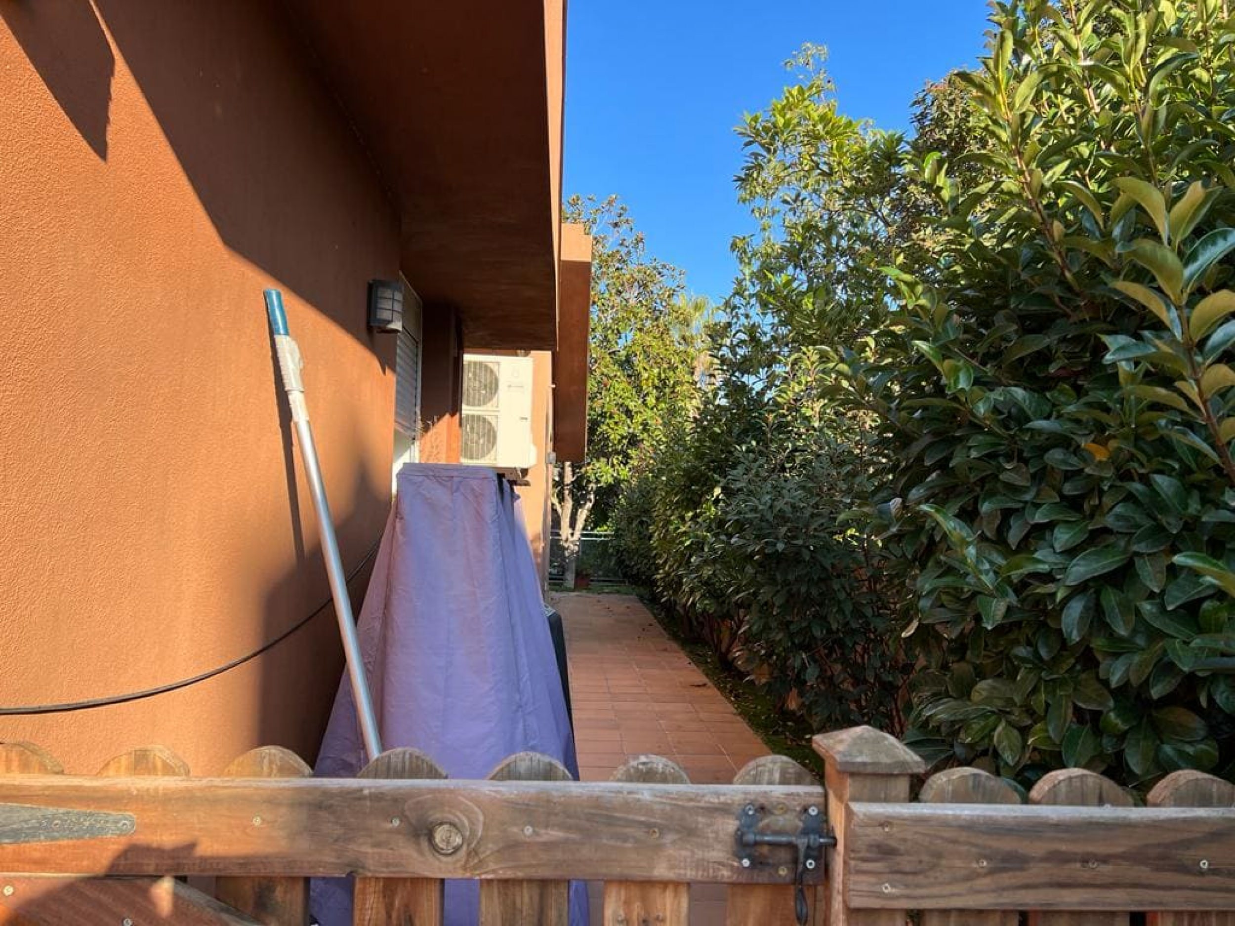 Garden with vegetation and relaxation areas